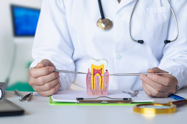 Best Emergency Dental Care for Sports Injuries in Wilkinsburg, PA
